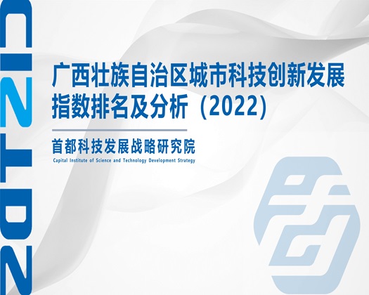 白毛逼操鸡巴【成果发布】广西壮族自治区城市科技创新发展指数排名及分析（2022）